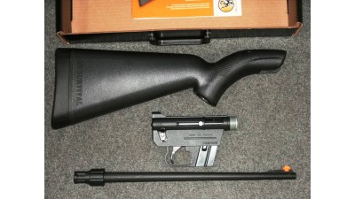 HENRY US SURVIVAL 22LR AUTO BLACK.